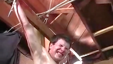 Sexy slutty honest her tight ass fucked