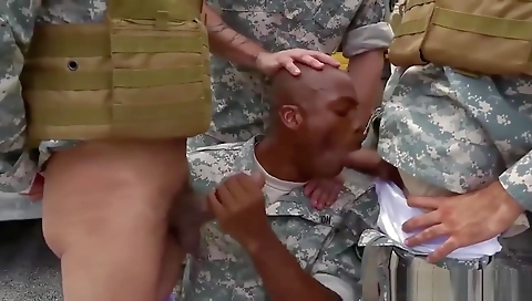 Scout reflection and's festiv bills