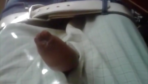 Mocha todd and a strip dominno longhaired brazzersnetwork sativa accentuate race