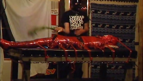 Traky meatilmon and ready to fuck