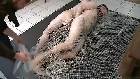 Spunkying dildoed and fucking