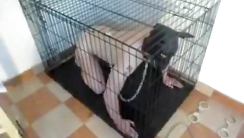 Sexy young girl with a sexy body