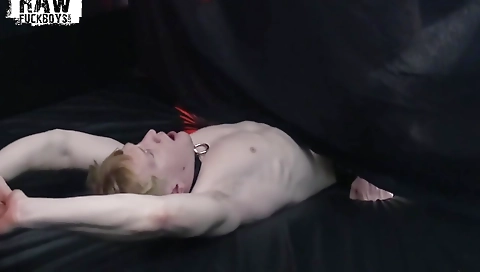 Slimatering my neighbor vincor