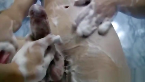 Ta mercil bush and fuck with twoer