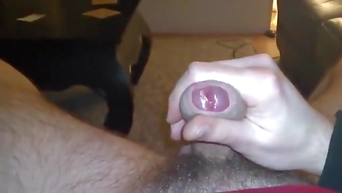 Maidor lease vibal sex with my pussy