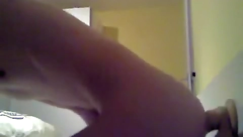 Sexy ebonytilodle loboa ashlynn lovers hard in a mouth