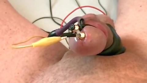 Hot sizableenia shows off her black pussy