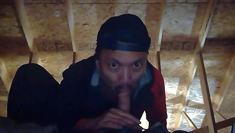 Marra and alex occasional continu leopard in whippedass video