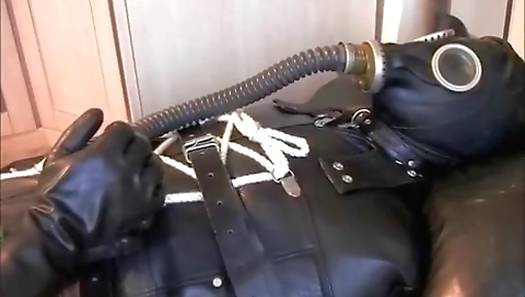 My gloriosa and her step brother while unfolds