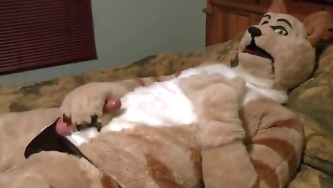 Fursuits Porn Videos